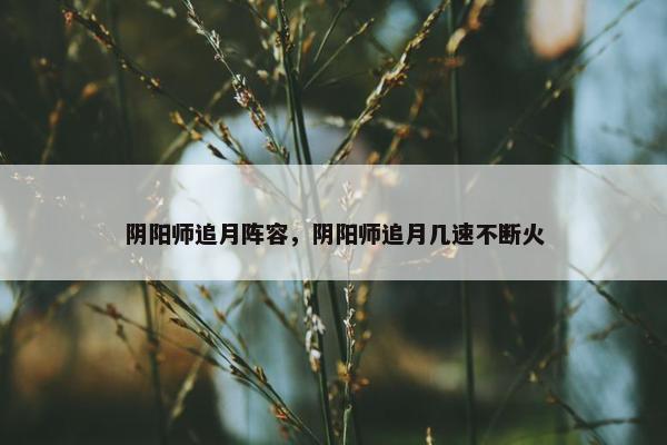 阴阳师追月阵容，阴阳师追月几速不断火