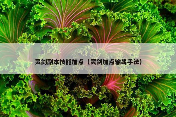 灵剑副本技能加点（灵剑加点输出手法）