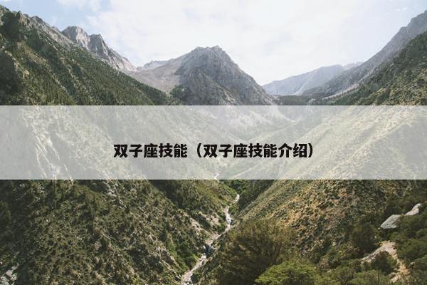 双子座技能（双子座技能介绍）