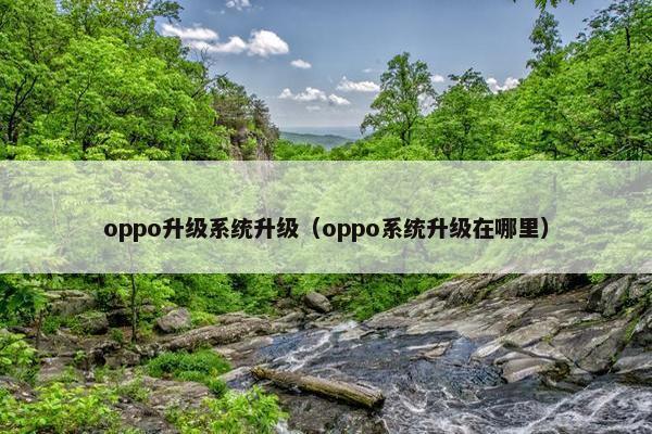oppo升级系统升级（oppo系统升级在哪里）