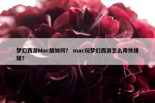 梦幻西游Mac版如何？ mac玩梦幻西游怎么用快捷键？