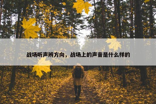 战场听声辨方向，战场上的声音是什么样的