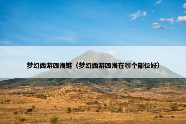 梦幻西游四海链（梦幻西游四海在哪个部位好）