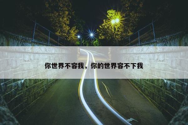 你世界不容我，你的世界容不下我