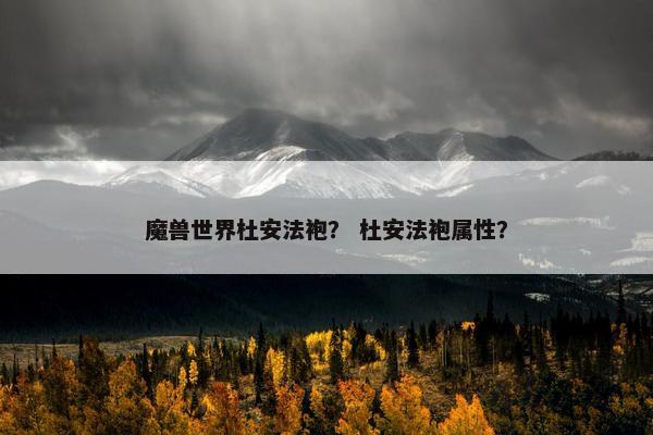 魔兽世界杜安法袍？ 杜安法袍属性？