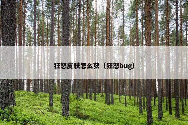 狂怒皮肤怎么获（狂怒bug）