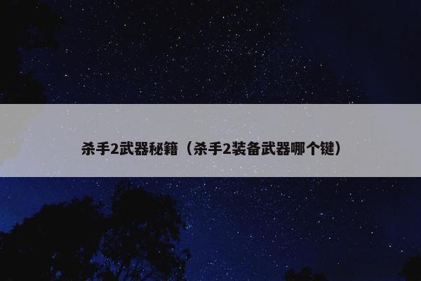 杀手2武器秘籍（杀手2装备武器哪个键）