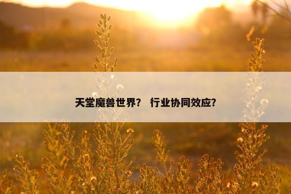 天堂魔兽世界？ 行业协同效应？