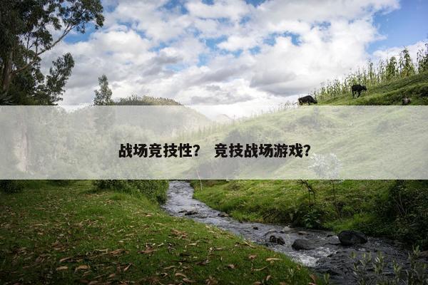 战场竞技性？ 竞技战场游戏？