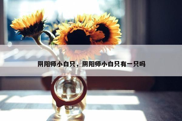 阴阳师小白只，阴阳师小白只有一只吗