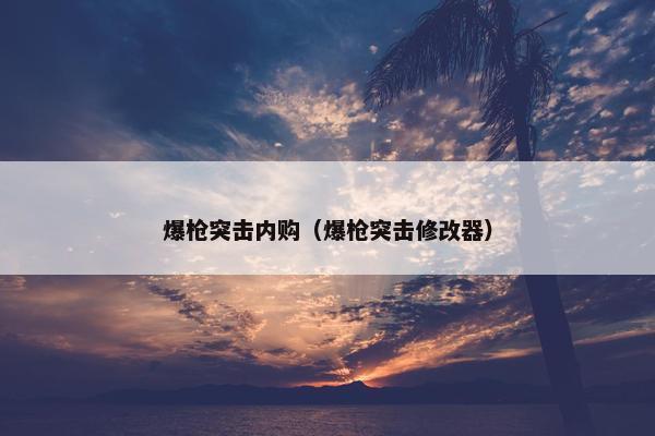 爆枪突击内购（爆枪突击修改器）