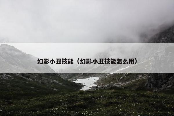 幻影小丑技能（幻影小丑技能怎么用）