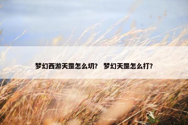 梦幻西游天罡怎么切？ 梦幻天罡怎么打？