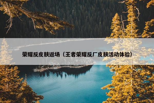 荣耀反皮肤返场（王者荣耀反厂皮肤活动体验）