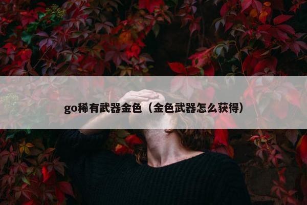 go稀有武器金色（金色武器怎么获得）