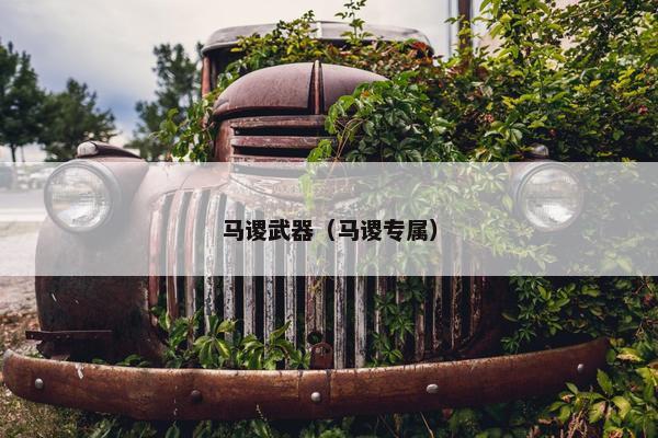 马谡武器（马谡专属）
