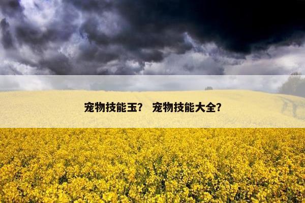 宠物技能玉？ 宠物技能大全？