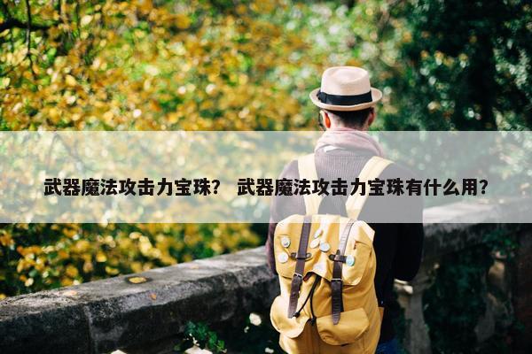 武器魔法攻击力宝珠？ 武器魔法攻击力宝珠有什么用？