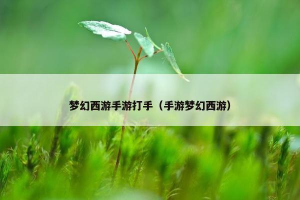 梦幻西游手游打手（手游梦幻西游）