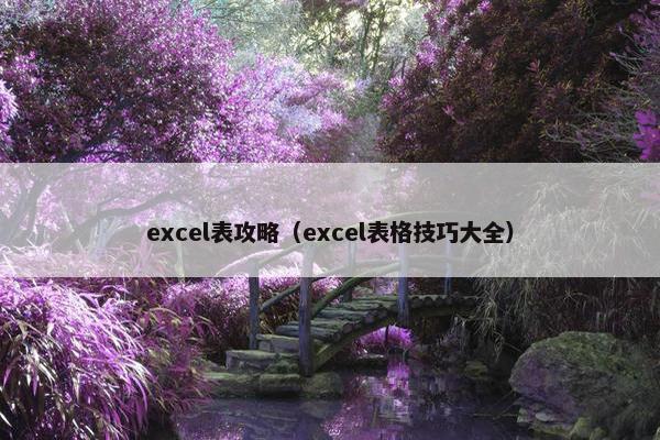 excel表攻略（excel表格技巧大全）