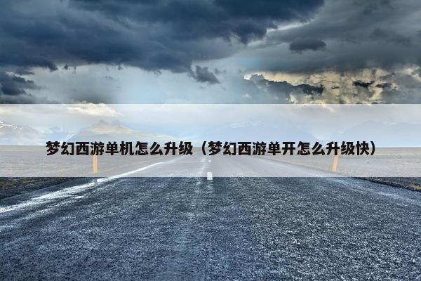 梦幻西游单机怎么升级（梦幻西游单开怎么升级快）