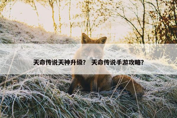 天命传说天神升级？ 天命传说手游攻略？