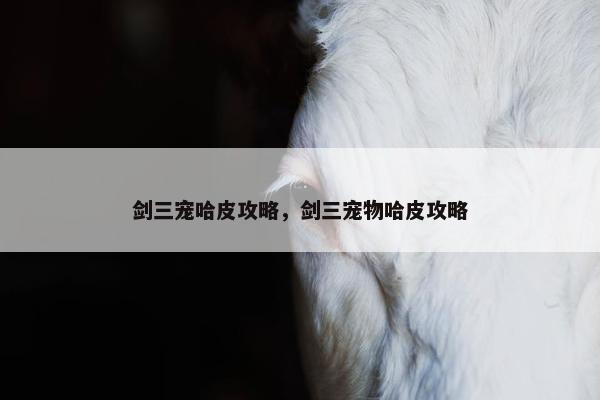 剑三宠哈皮攻略，剑三宠物哈皮攻略