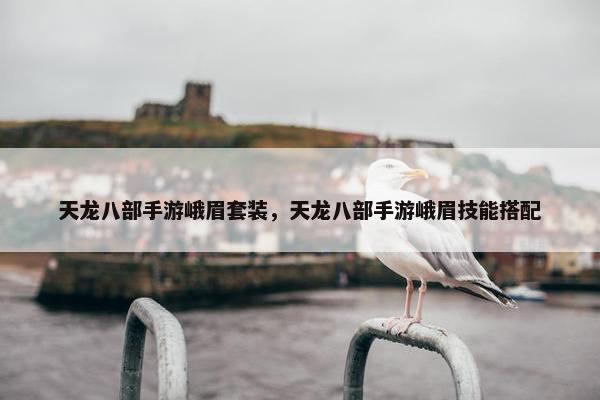 天龙八部手游峨眉套装，天龙八部手游峨眉技能搭配