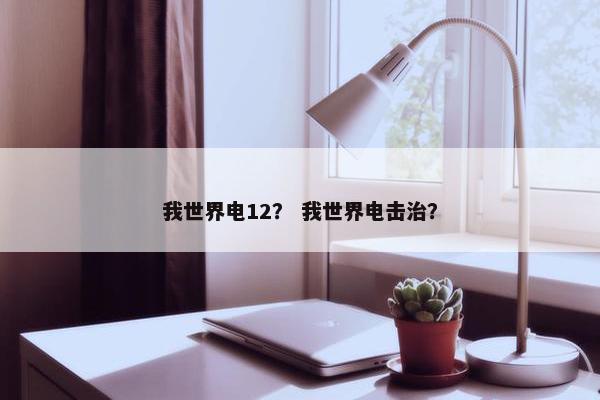 我世界电12？ 我世界电击治？