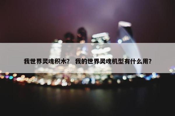 我世界灵魂积木？ 我的世界灵魂机型有什么用？