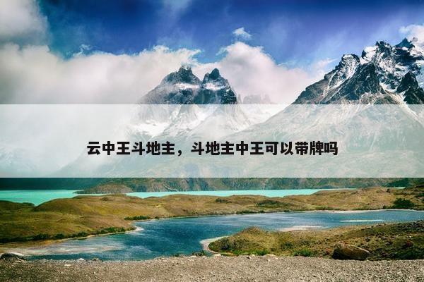 云中王斗地主，斗地主中王可以带牌吗