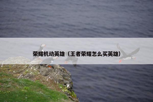 荣耀机动英雄（王者荣耀怎么买英雄）