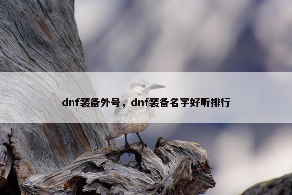 dnf装备外号，dnf装备名字好听排行