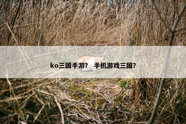 ko三国手游？ 手机游戏三国？