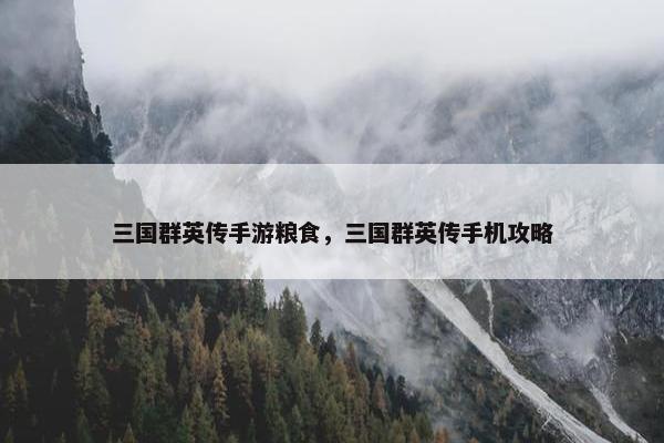 三国群英传手游粮食，三国群英传手机攻略