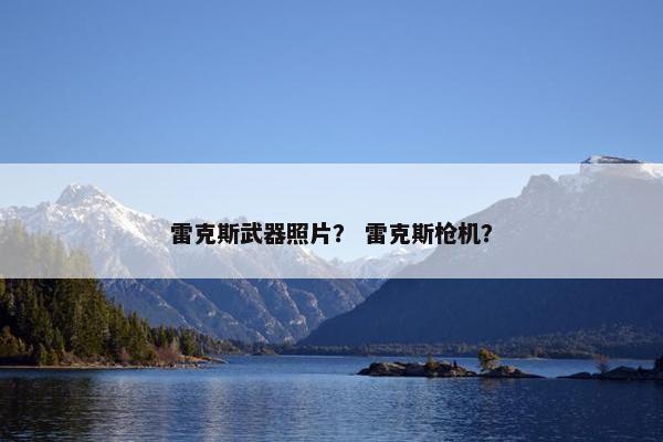 雷克斯武器照片？ 雷克斯枪机？