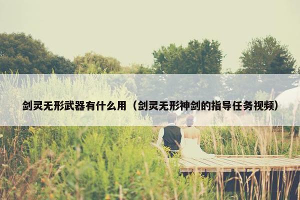 剑灵无形武器有什么用（剑灵无形神剑的指导任务视频）
