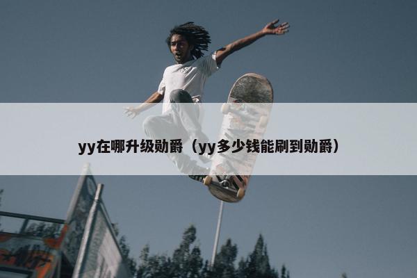 yy在哪升级勋爵（yy多少钱能刷到勋爵）
