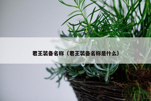 君王装备名称（君王装备名称是什么）