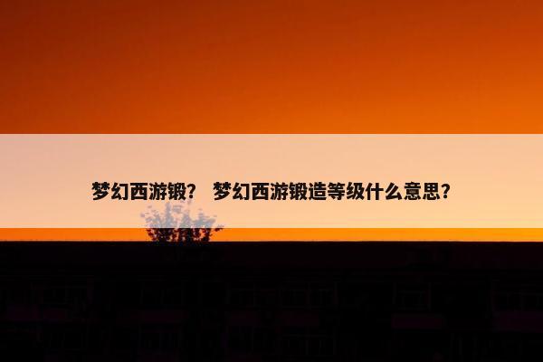 梦幻西游锻？ 梦幻西游锻造等级什么意思？