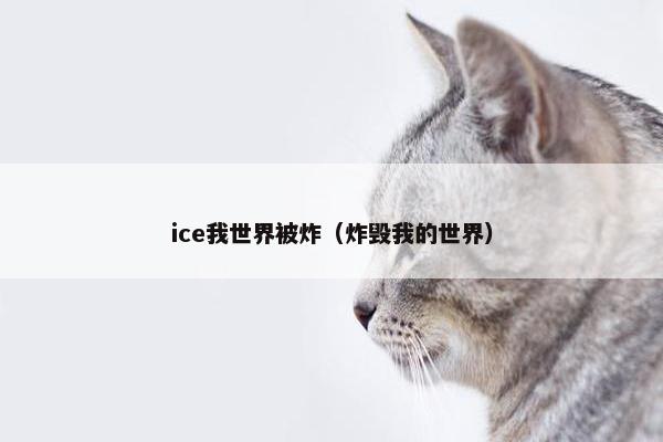 ice我世界被炸（炸毁我的世界）