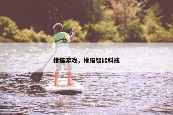 橙猫游戏，橙猫智能科技