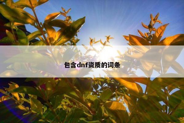 包含dnf资质的词条