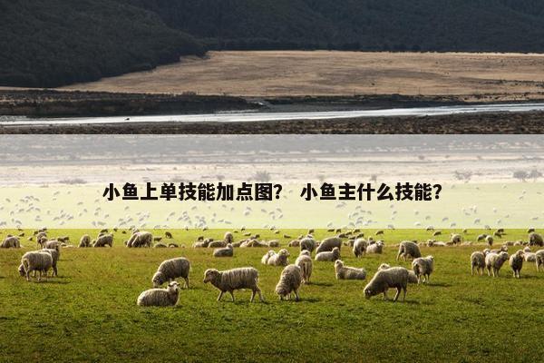 小鱼上单技能加点图？ 小鱼主什么技能？