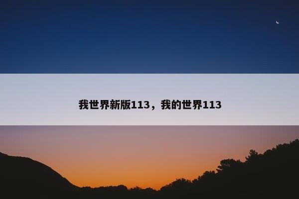 我世界新版113，我的世界113