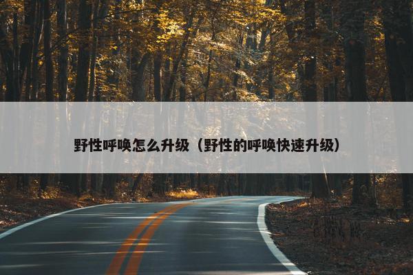 野性呼唤怎么升级（野性的呼唤快速升级）