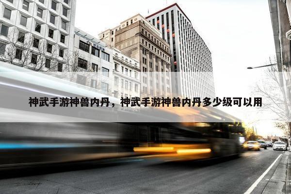 神武手游神兽内丹，神武手游神兽内丹多少级可以用