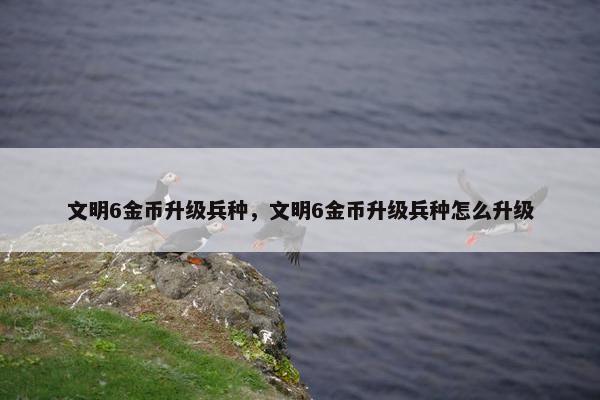 文明6金币升级兵种，文明6金币升级兵种怎么升级