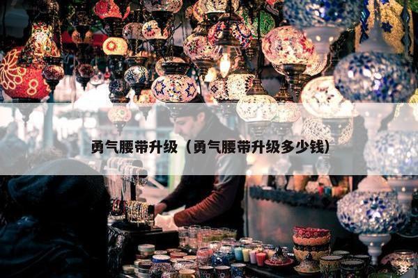 勇气腰带升级（勇气腰带升级多少钱）