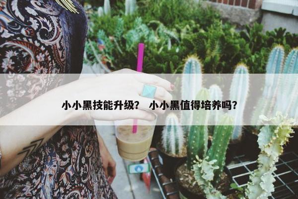 小小黑技能升级？ 小小黑值得培养吗？